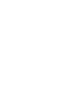 enhance your vitality with new milk options